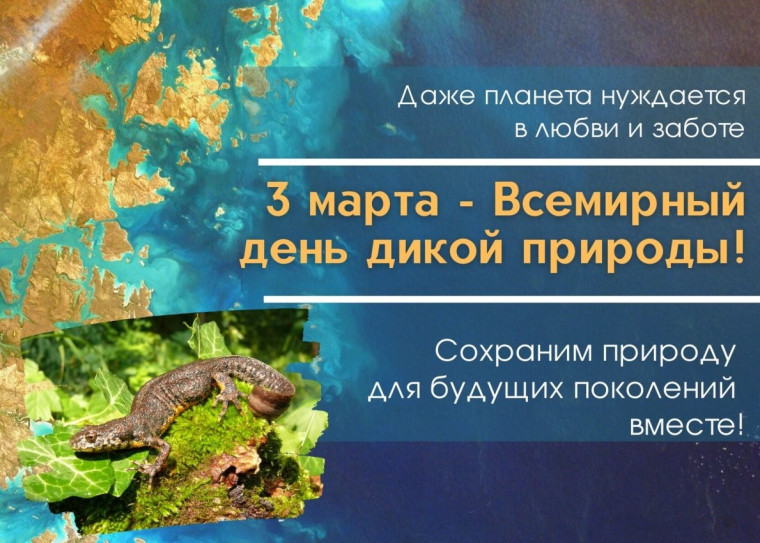 Всемирный день дикой природы.