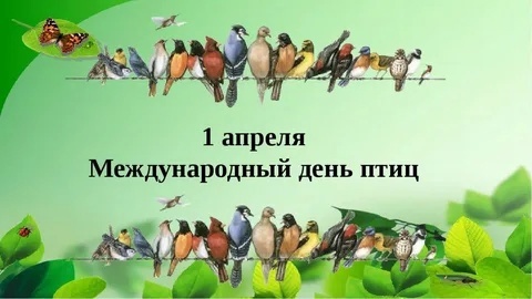 1 апреля - Международный день птиц .